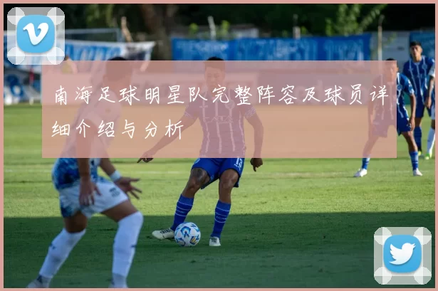 南海足球明星队完整阵容及球员详细介绍与分析