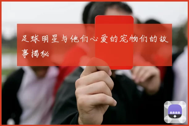 足球明星与他们心爱的宠物们的故事揭秘